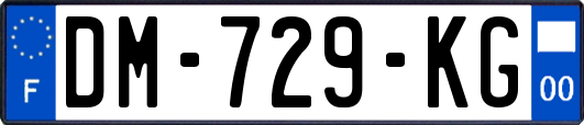 DM-729-KG