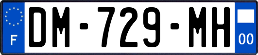 DM-729-MH