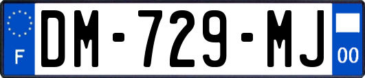DM-729-MJ