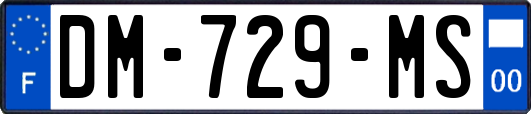 DM-729-MS