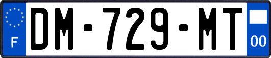 DM-729-MT