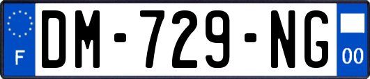 DM-729-NG