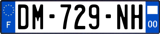 DM-729-NH