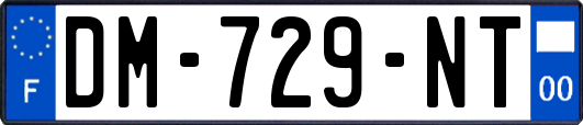 DM-729-NT