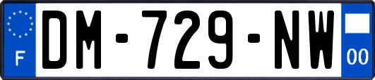 DM-729-NW