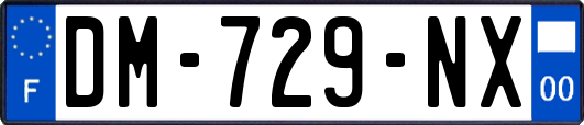 DM-729-NX