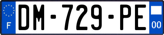 DM-729-PE