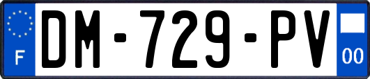 DM-729-PV