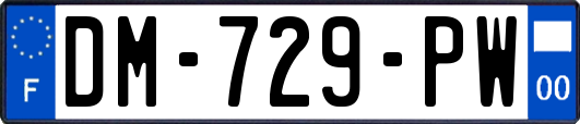 DM-729-PW