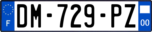 DM-729-PZ
