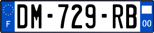 DM-729-RB