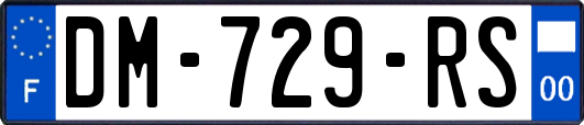 DM-729-RS