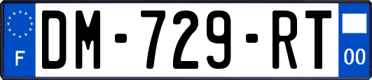 DM-729-RT
