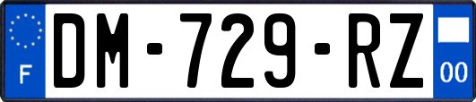DM-729-RZ