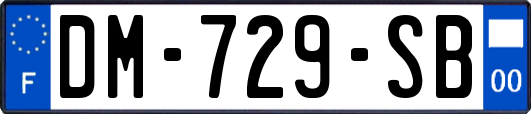 DM-729-SB