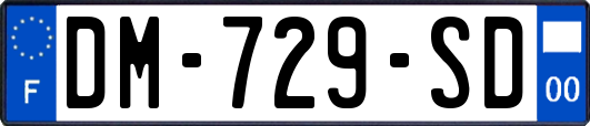 DM-729-SD