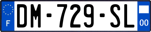 DM-729-SL