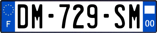 DM-729-SM