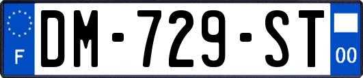 DM-729-ST