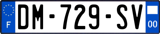 DM-729-SV