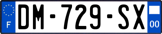 DM-729-SX