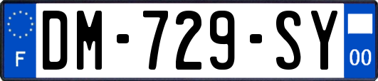 DM-729-SY