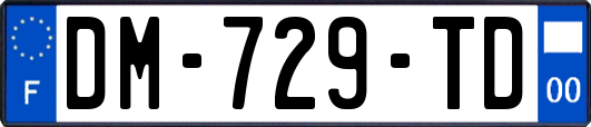 DM-729-TD