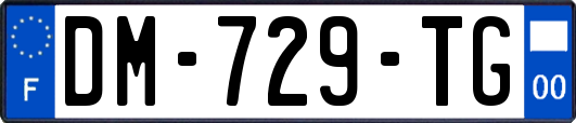 DM-729-TG