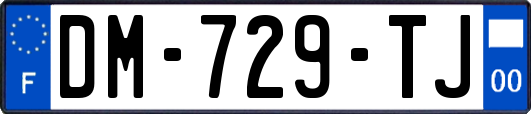 DM-729-TJ