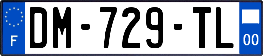 DM-729-TL