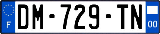 DM-729-TN