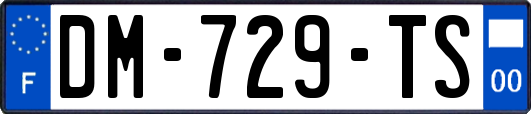 DM-729-TS