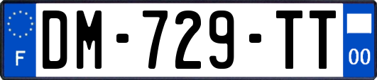 DM-729-TT
