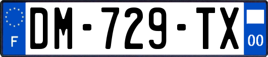 DM-729-TX