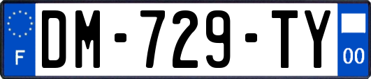 DM-729-TY