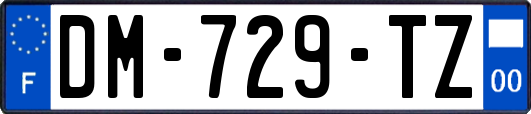 DM-729-TZ