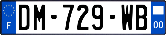 DM-729-WB