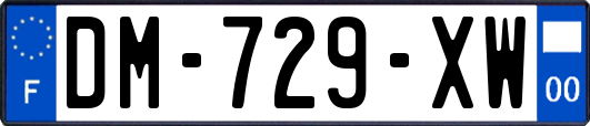 DM-729-XW