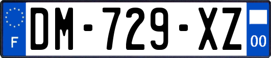 DM-729-XZ