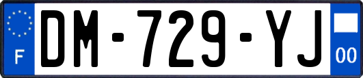 DM-729-YJ