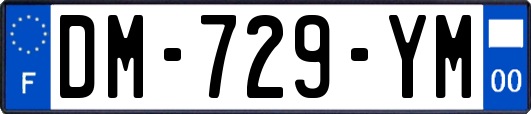 DM-729-YM