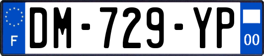 DM-729-YP