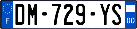 DM-729-YS