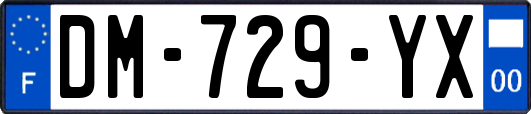 DM-729-YX