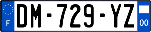 DM-729-YZ