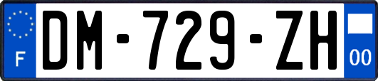 DM-729-ZH