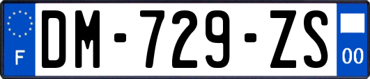 DM-729-ZS