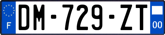 DM-729-ZT