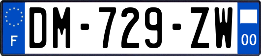 DM-729-ZW