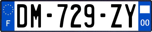 DM-729-ZY